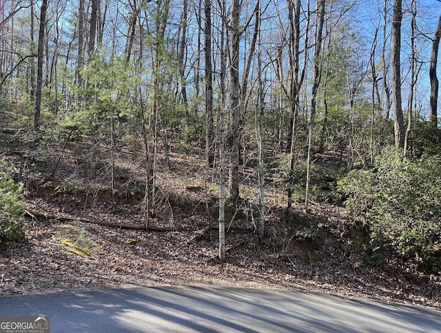 109 S Lake Dr, Ellijay GA, 30536 land for sale