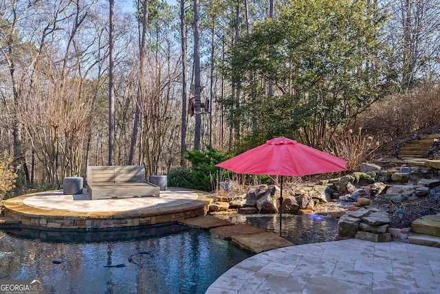 view of swimming pool