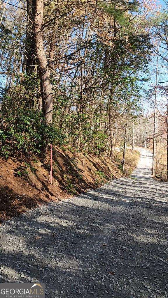 LOT12 Sierra Ln, Blue Ridge GA, 30513 land for sale