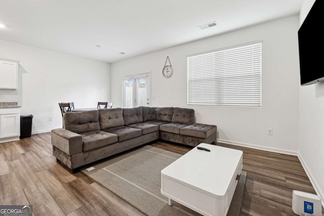 living room with hardwood / wood-style flooring