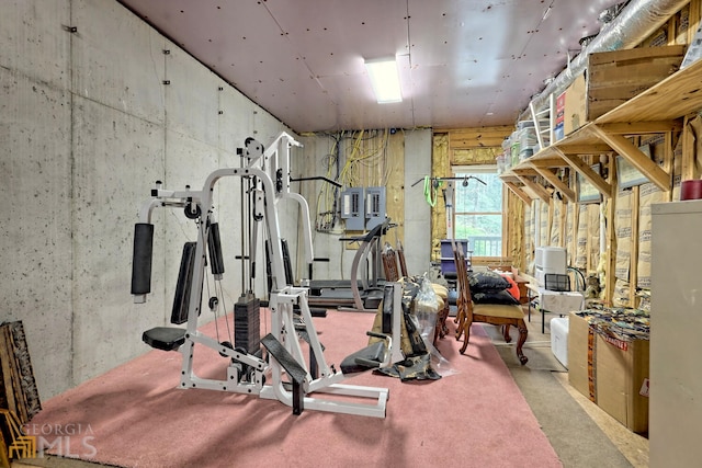 exercise room with light carpet