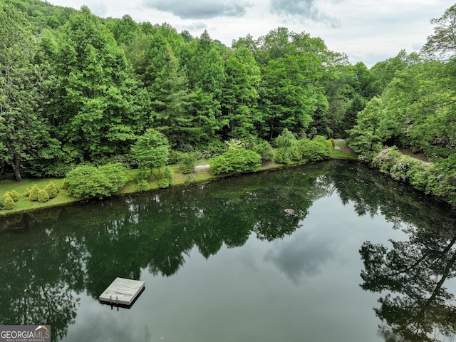 property view of water featuring a boat dock