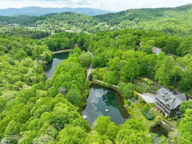 bird's eye view featuring a water and mountain view