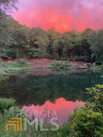 nature at dusk featuring a water view