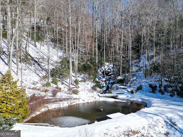 view of snowy landscape