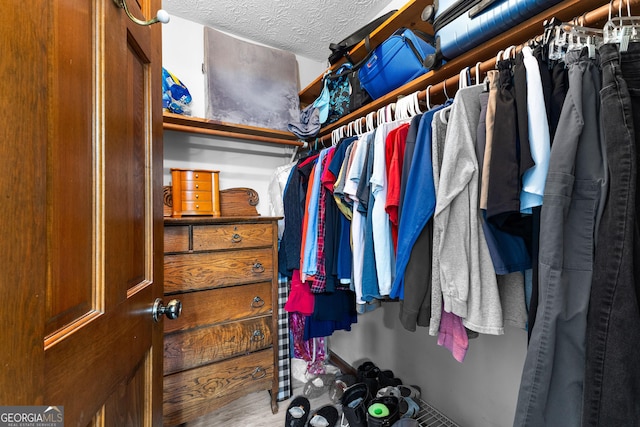 view of spacious closet