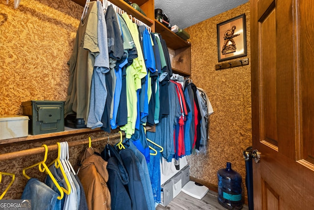 spacious closet featuring hardwood / wood-style flooring