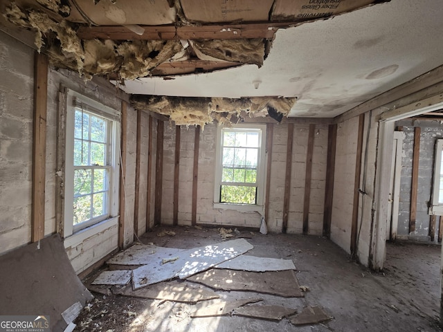 miscellaneous room with a wealth of natural light