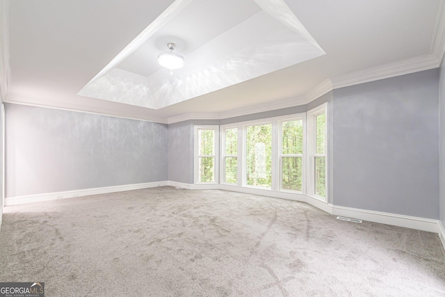 carpeted spare room with ornamental molding