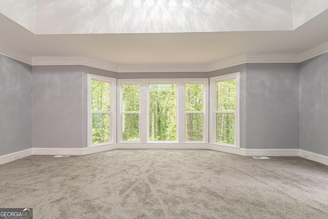 empty room with carpet, ornamental molding, and a wealth of natural light