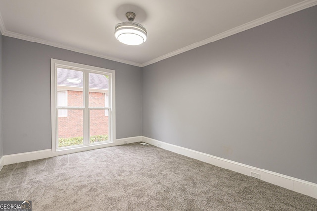 spare room featuring carpet floors and crown molding