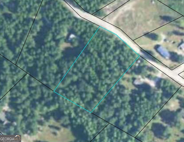 0 Misty Ln, Mcrae-Helena GA, 31037 land for sale