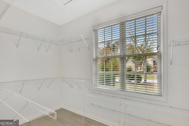 view of spacious closet