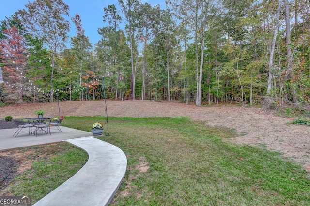 view of yard with a patio