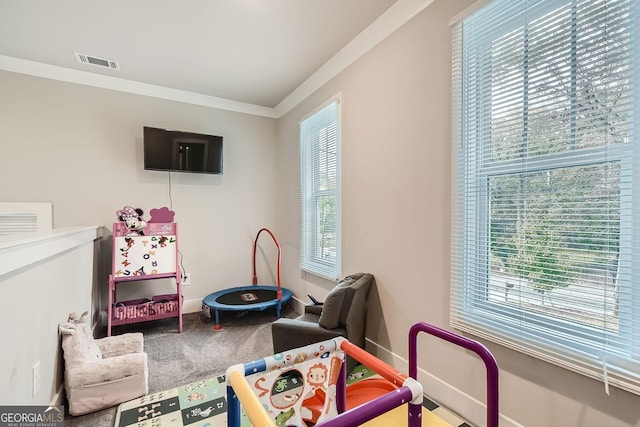 recreation room featuring ornamental molding