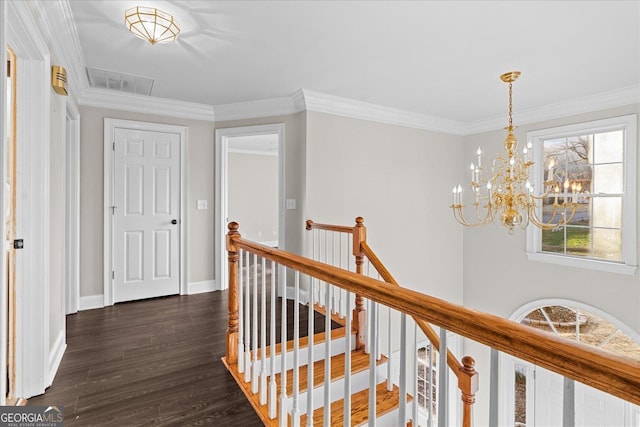 corridor featuring a chandelier, dark hardwood / wood-style floors, and ornamental molding