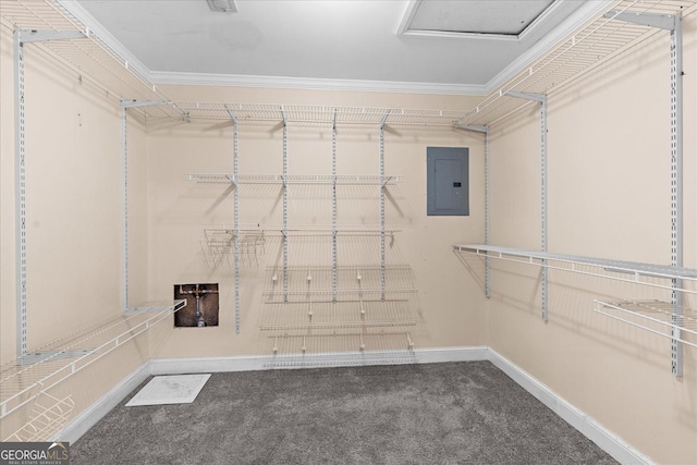 walk in closet with carpet floors and electric panel