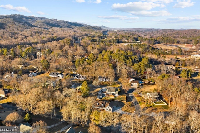 birds eye view of property featuring a mountain view