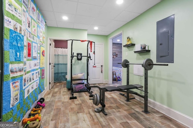 exercise area featuring electric panel, a paneled ceiling, and hardwood / wood-style flooring