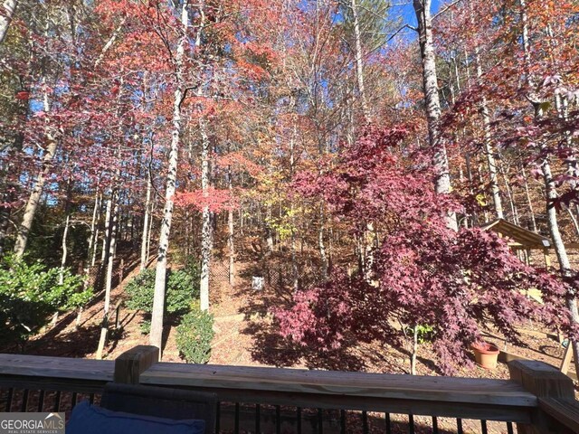 213 Moore Valley Way, Canton, GA 30115 - view of yard
