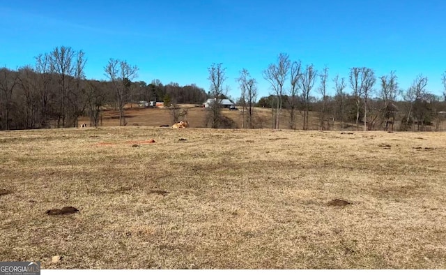 0 Mountain Creek Church Rd, Pendergrass GA, 30567 land for sale