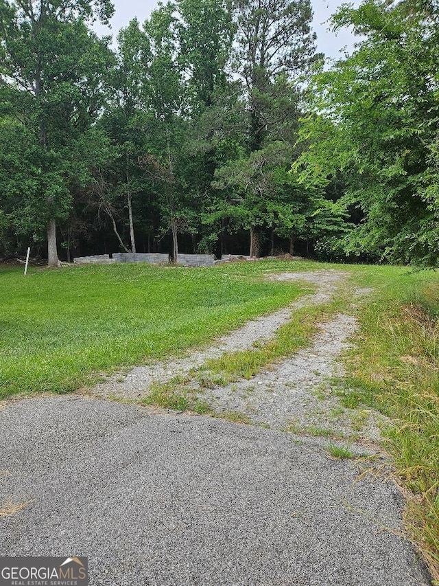 328 Mountain Home Rd, Cedartown GA, 30125 land for sale