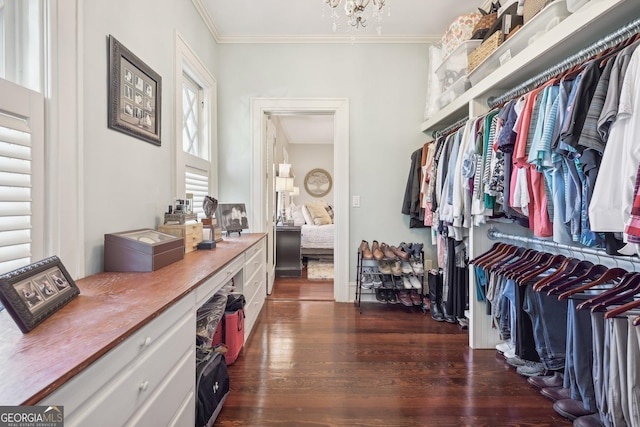 spacious closet with a chandelier and dark hardwood / wood-style flooring