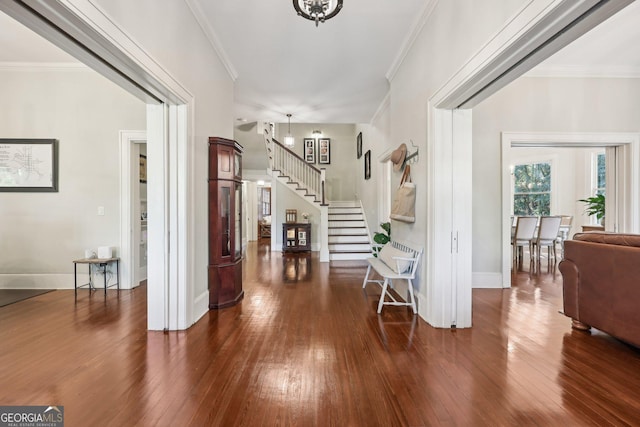 entryway featuring crown molding and dark wood-type flooring