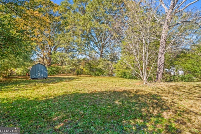 view of yard with a shed