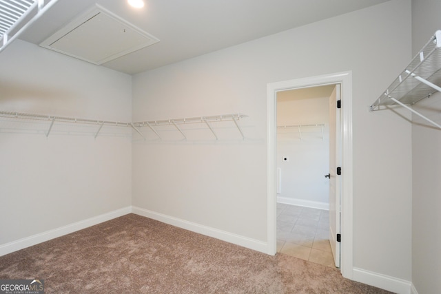 spacious closet with carpet floors