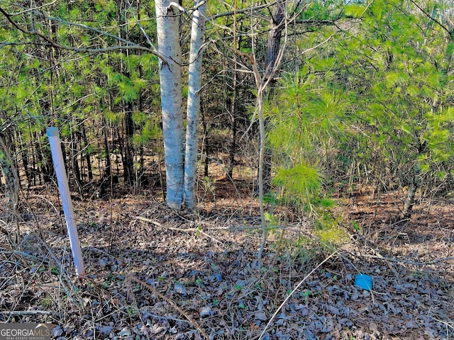 LOT14 Valley Ct, East Ellijay GA, 30540 land for sale