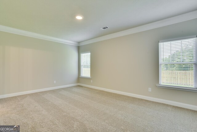 spare room with carpet flooring and ornamental molding