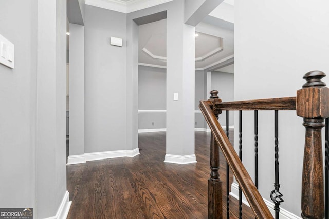 hall with dark hardwood / wood-style floors and ornamental molding