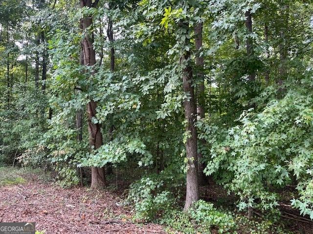 Listing photo 2 for LOT2171 N Sundew, Westminster SC 29693