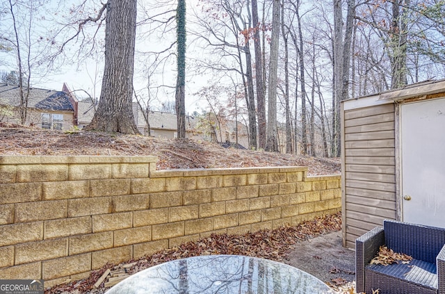 view of yard featuring a storage unit