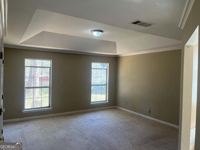 empty room with light colored carpet, ornamental molding, and a tray ceiling