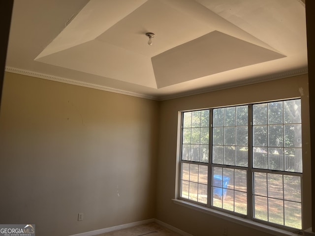 unfurnished room with a raised ceiling