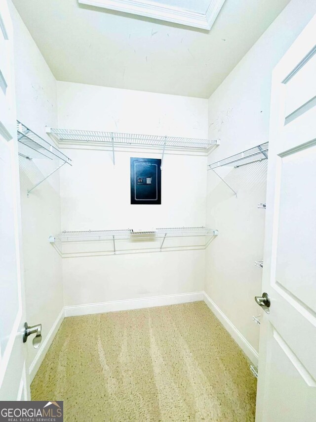 walk in closet featuring electric panel