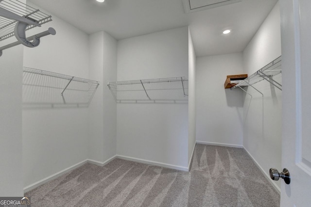 walk in closet featuring light carpet