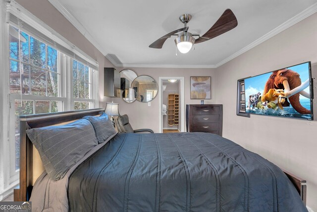 bedroom featuring a walk in closet, ornamental molding, and ceiling fan