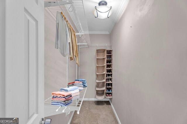 spacious closet featuring light carpet