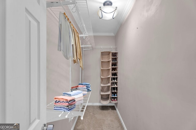 spacious closet with light carpet