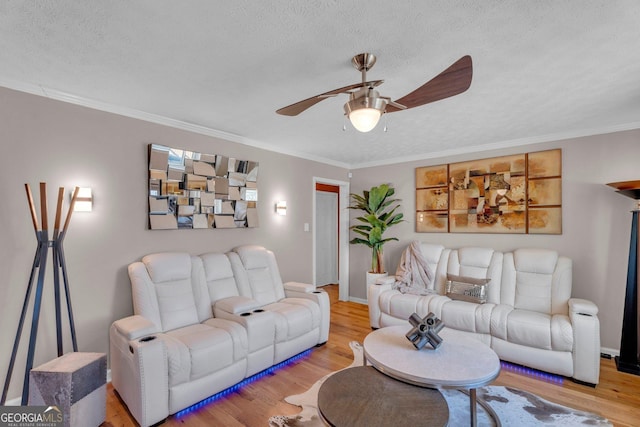 living room featuring crown molding, ceiling fan, light hardwood / wood-style floors, and a textured ceiling