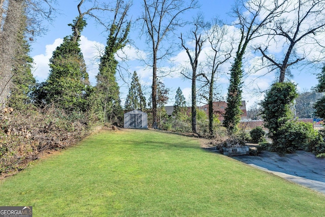 view of yard with a storage shed