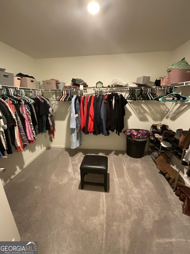 spacious closet featuring carpet