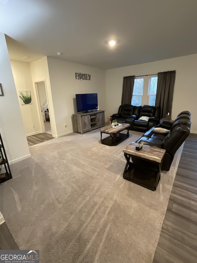 living room with wood-type flooring