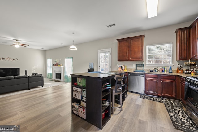 kitchen with appliances with stainless steel finishes, hanging light fixtures, light wood-type flooring, sink, and ceiling fan