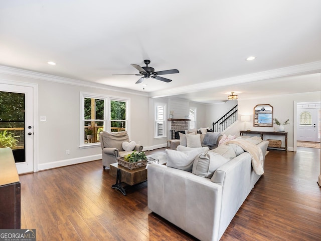 living room featuring crown molding, dark wood-type flooring, and ceiling fan