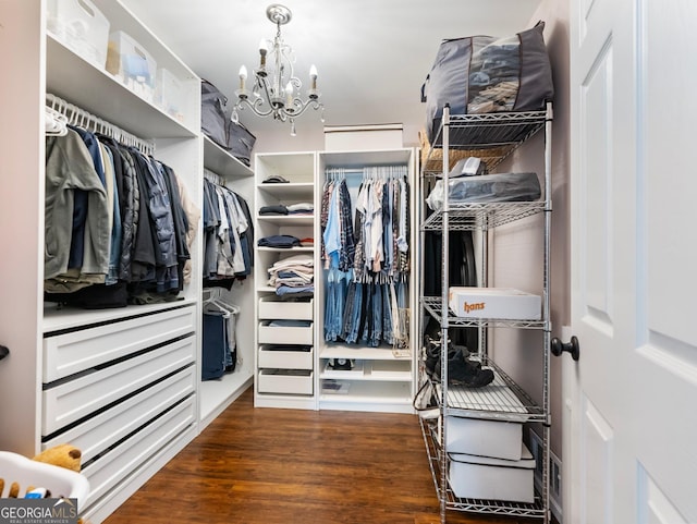 walk in closet with a chandelier and dark wood-style flooring