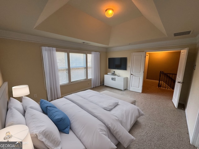 carpeted bedroom featuring a raised ceiling